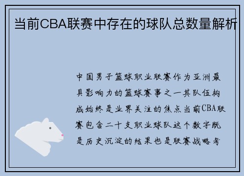 当前CBA联赛中存在的球队总数量解析